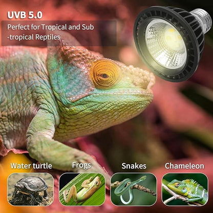 UVB Light Bulb for Reptiles, LED 3W 5.0 UVA UVB Heat Lamp Bulbs Ideal for Rainforest Reptiles, Bearded Dragons Lizard Turtle Tortoise Iguanas Chameleons Snake (2 Pack)