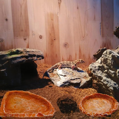 Reptile Water Dish and Food Bowls, 3 Pack Reptile Feeding Terrarium Bowl for Bearded Dragon Lizard Frog Gecko Tortoise Hermit Crab Snail (Orange)