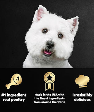 Cesar Wet Dog Food Poultry Lovers Variety Pack with Real Chicken, Turkey and Duck, 3.5 oz. Easy Peel Trays (36 Count, Pack of 1)