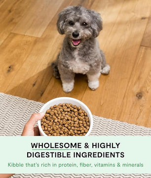 Open Farm, Ancient Grains Dry Dog Food For Small Breeds, Protein-Rich & Nutrient Dense, 90% Animal Protein With Non-GMO Fruits, Veggies and Superfoods, Chicken & Turkey Recipe For Small Dogs, 11lb Bag