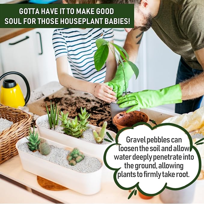 5 LBS White Pea Gravel, Natural Succulent and Cactus Gravel Pebbles, Pebbles for Indoor Plants, Natural Gardens Mulching, for Houseplants, for Aquarium Gravel, to Maintain Soil Aeration(4-6mm)