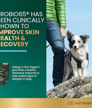 VetriScience Allergy & Itch Support Chews, Skin and Coat Supplement for Dogs, Allergy Chews for Itching, Scratching, and Licking, Support Skin and Immune Health, Duck, 75 Count