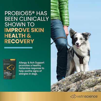 VetriScience Allergy & Itch Support Chews, Skin and Coat Supplement for Dogs, Allergy Chews for Itching, Scratching, and Licking, Support Skin and Immune Health, Duck, 75 Count