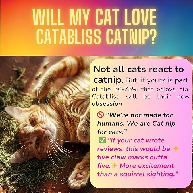 Catnip for Cats – 1oz Jar - 100% Essential Natural Cat Nip Herb Resealable Jar - Fresh Aroma Stimulates Activity & Enhancing Play for Indoor Cats - Great for Cat Nip Toys, Play & Training