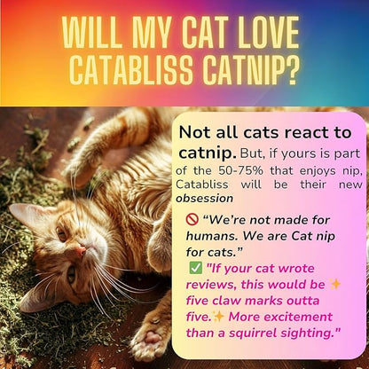 Catnip for Cats – 1oz Jar - 100% Essential Natural Cat Nip Herb Resealable Jar - Fresh Aroma Stimulates Activity & Enhancing Play for Indoor Cats - Great for Cat Nip Toys, Play & Training