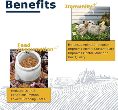 Nutrient-Rich Chicken Feed - 1LB Dried Black Soldier Fly Larvae, 100% Natural, 85X More Calcium Than Mealworms, Ideal for Molting & Laying Hens, Ducks, and Wild Birds, Reptiles and Hedgehogs