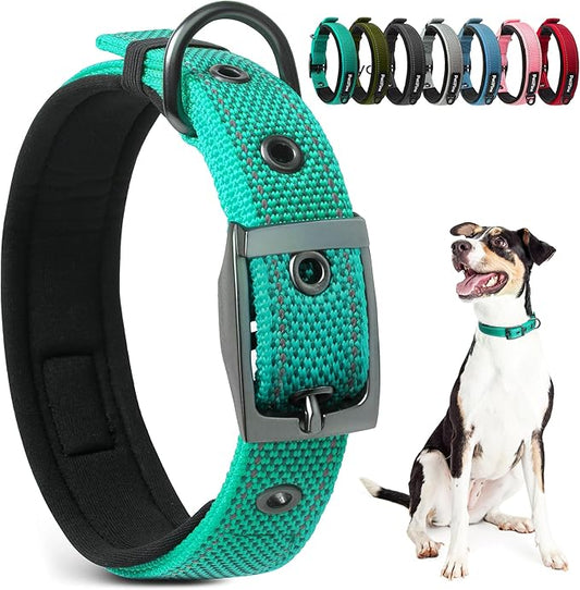 PetiFine Dog Collars for Small Dogs, Neoprene Padded Dog Collar, Reflective Heavy Duty Pet Collars with Durable Metal Belt Buckle for Walking, Teal, S