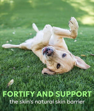 Nutramax Dermaquin Skin Support Supplement for Large Dogs, Supports Healthy Response to Allergens, with Hardy Kiwi, Omega-3s, and More, Tasty Soft Chews, 60 Count