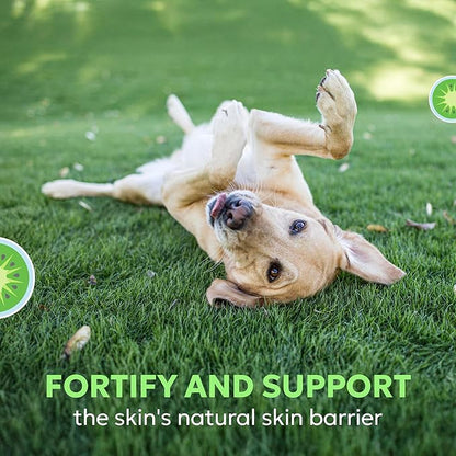 Nutramax Dermaquin Skin Support Supplement for Large Dogs, Supports Healthy Response to Allergens, with Hardy Kiwi, Omega-3s, and More, Tasty Soft Chews, 60 Count