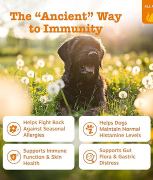 Zesty Paws Dog Allergy Relief - Anti Itch Supplement - Omega 3 Probiotics for Dogs - Digestive Health - Soft Chews for Skin & Seasonal Allergies - with Epicor Pets - Bison - 90ct