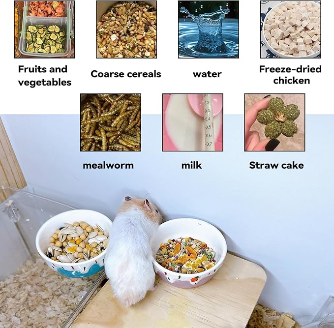 2 Pack Hamster Food Bowl Small Animals Ceramic Food Water Bowl Prevent Tipping Moving for Gerbil Chinchilla Hedgehog Rat (Color: Purple + Blue)