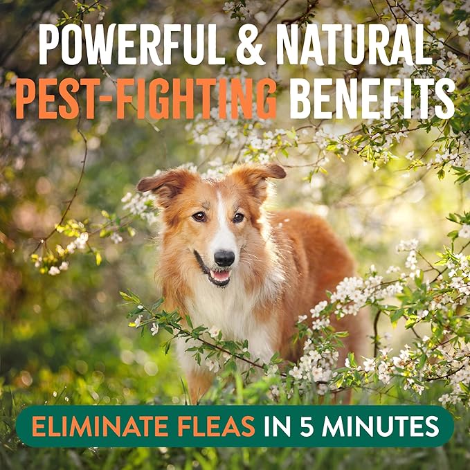 TropiClean Natural Maximum Strength Flea and Tick Spray for Dogs and Home, 32oz