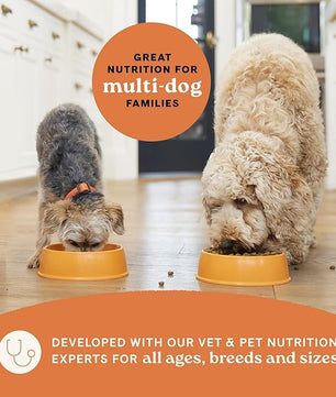 Canidae All Life Stages Multi-Protein Recipe with Chicken, Turkey, Lamb, and Fish – High Protein Premium Dry Dog Food for All Ages, Breeds, and Sizes– 40 lbs.