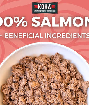 KOHA Limited Ingredient Diet Salmon Entrée for Dogs - Dog Food Toppers for Picky Eaters - Sensitive Stomach Canned Dog Food - Pate Dog - 13 oz Pack of 12
