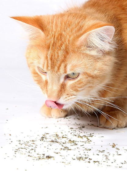 Purple Haze Catnip, Premium Blend Safe for Cats, Infused with Maximum Potency Your Kitty is Sure to Go Crazy for (1 Cup)