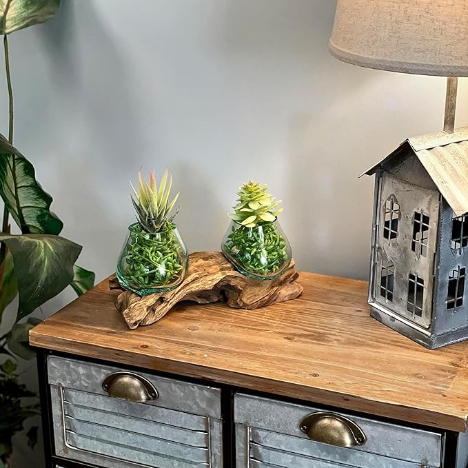 Double Molten Glass Bowl on Driftwood Base, Hand Blown Glass and Wood Centerpiece, Unique Rustic Table Decor, Dual Planter Terrarium, Natural Wood Art Glass Sculpture, 10.5 Inch Artisan Accent