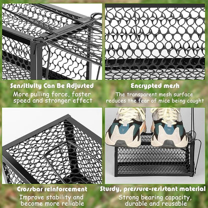 Qualirey 2 Pcs Humane Rat Trap Chipmunk Rodent Mouse Squirrel Trap 11 x 6 x 6 Inches Live Animal Mouse Voles Hamsters Live Cage Rat Cage for Mice Easy to Catch and Release, Black