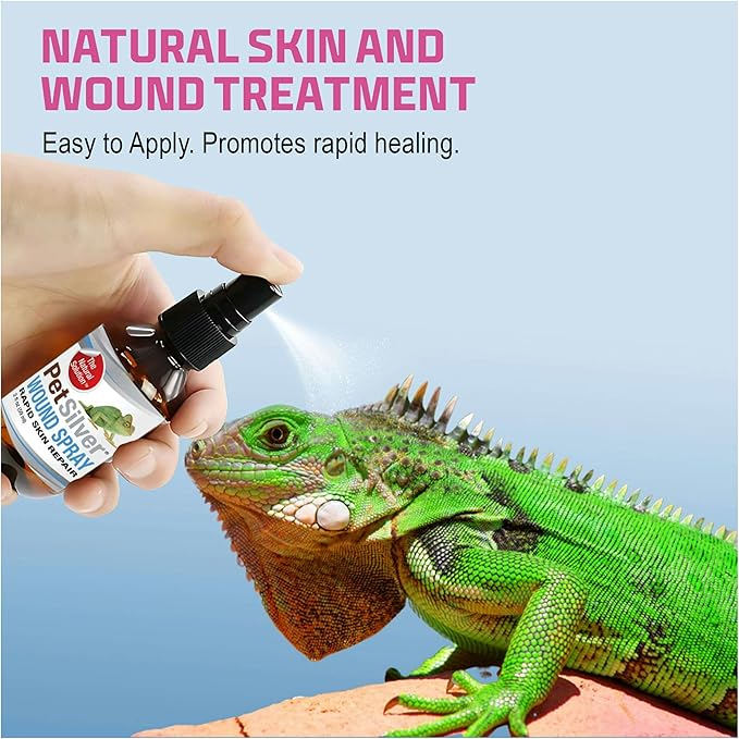 PetSilver Reptile Wound Spray with Chelated Silver – Reptile Wound Care for Snakes, Lizards, Geckos – Burns, Sores, Irritations & Scale Rot Treatment – Non-Toxic & Safe – Made in USA – 2 fl oz