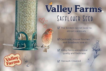 Valley Farms Safflower Seed Wild Bird Food (15 LB) for Outside Feeders, Safflower Bird Seed for Cardinals, Grosebeaks, and Buntings, Cardinal Birdseed for Ourtside Feeders