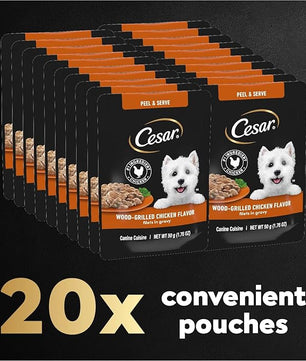Cesar Filets in Gravy Wet Dog Food Wood-Grilled Chicken Flavor, 1.76 oz. Mini-Pouch (20 Count, Pack of 1)