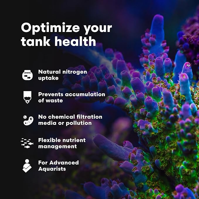 Brightwell Aquatics - NeoPhos - Balanced Phosphorus Source for Phosphorus-Limited, Low-Nutrient Reef Aquaria - Aquarium Water Treatments, 8.5 fl oz