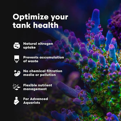 Brightwell Aquatics - NeoPhos - Balanced Phosphorus Source for Phosphorus-Limited, Low-Nutrient Reef Aquaria - Aquarium Water Treatments, 16.9 fl oz