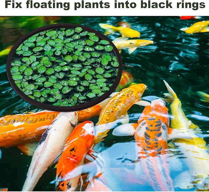 10pcs Aquarium Floating Plant Corral, Oval & Square Fish Feeding Rings, Mix Sizes Fish Tank Accessories for Betta Goldfish Turtle- Black