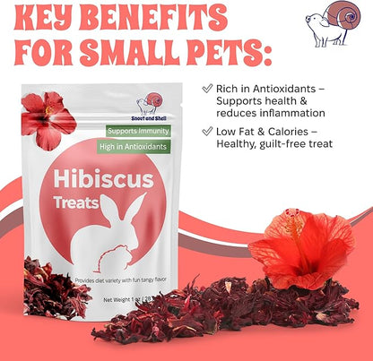 Snout and Shell Floral Favorites 4-in-1 Natural Treats for Small Pets – Pea Flakes, Marigold, Rose Petals & Hibiscus – Healthy Snacks for Rabbits, Guinea Pigs, Chinchillas & More