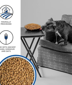 BIXBI Liberty Grain Friendly Dry Dog Food, Game Bird Feast Recipe, 4 lbs - Fresh Meat, No Meat Meal, No Fillers for Easy Digestion - USA Made (Pack of 1)