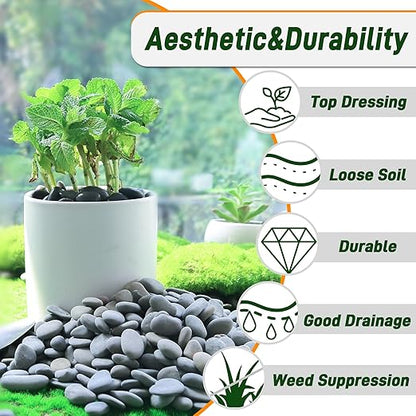 45 LB Mexican Beach Pebbles, 0.4-1 Inch Natural Unpolished Bulk Rocks, Decorative River Rocks for Landscaping Garden Paving Plant, Rocks for Walkways and Outdoor Decorative Stone, Grey