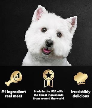 Cesar Wet Dog Food Classic Loaf in Sauce Breakfast and Dinner Mealtime Variety Pack, 3.5 oz. Easy Peel Trays (12 Count, Pack of 1)