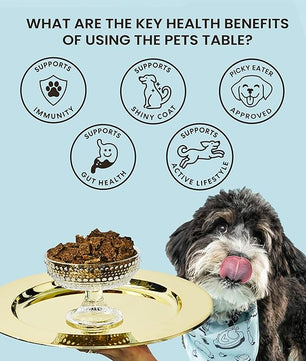 The Pets Table Salmon & Whitefish with Pumpkin Grain Free Air Dried Dog Food, 3 lb / 48 oz Bag