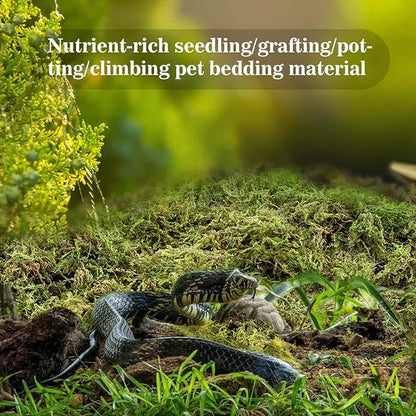 Sukh Sphagnum Moss for Reptiles - Terrarium Reptiles Moss Green Dried Peat Moss Habitat Bedding Moss for Snakes Turtle Frog Gecko and Other Reptiles Substrate (5, Ounces)