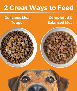 KOHA Big Easy Feast Stew for Dogs with Turkey, Chicken, and Duck, High Protein Wet Dog Food, 12.7oz Cans (Case of 12)
