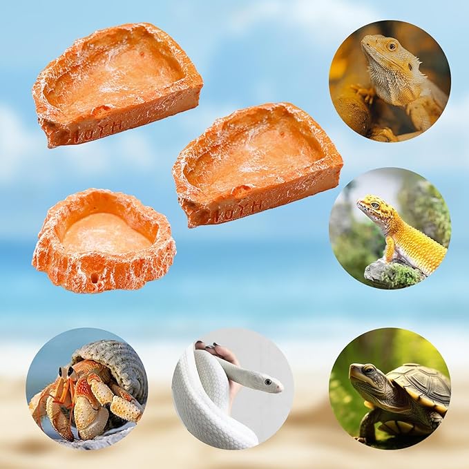 3 Pack Resin Reptile Dish for Food and Water, Hermit Crab Accessories, Hermit Crab Supplies, Hermit Crab Water Bowl, Habitat Accessories for Hermit Crab, Bearded Dragon, Gecko, Tortoise