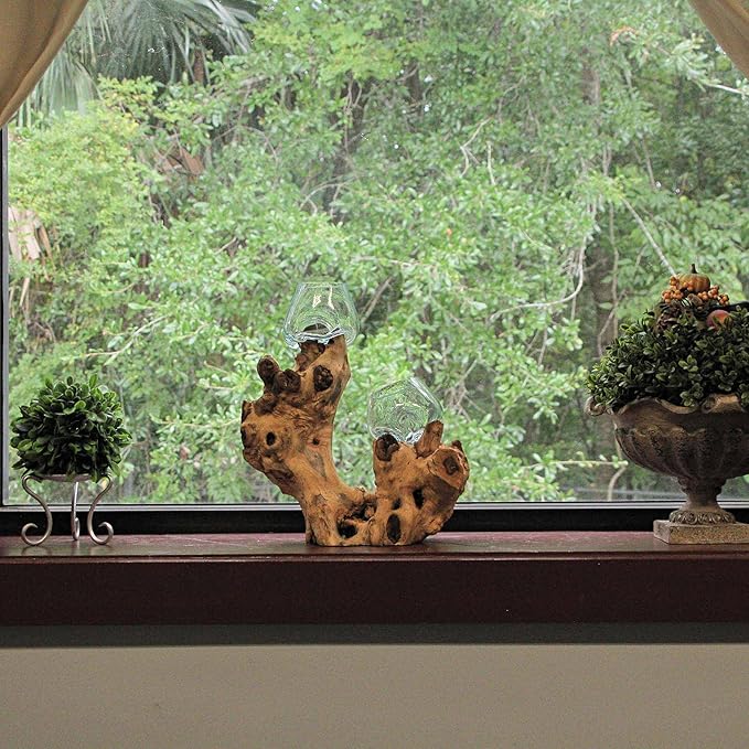Molten Glass On Root Wood Double Decorative Bowl Vase Plant Terrarium - Boho Style for Tabletops