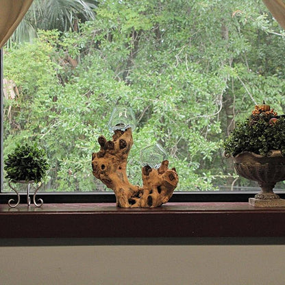 Molten Glass On Root Wood Double Decorative Bowl Vase Plant Terrarium - Boho Style for Tabletops