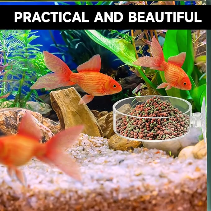 60mm Fish Tank Feeder Dish Aquarium Shrimp Feeder Dish with Suction Clear Fish Tank Feeding Bowl Round Clear Dishes Tray（2pcs）