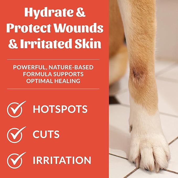SKOUT'S HONOR Probiotic Hot Spot Hydrogel - Natural Hot Spot Treatment, Soothes and Heals Wounds, Burns, and Irritated Skin, Safe for All Skin Types, 4oz