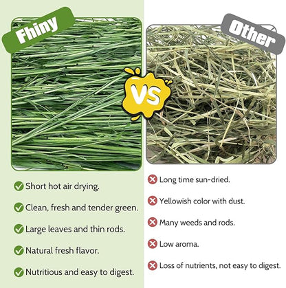 Fhiny Timothy Hay for Rabbit, 2.2LB Hand-Selected Premium Natural Timothy Hay Chinchilla Hay Hamster Food for Bunny Guinea Pig Chinchilla Hamster & Other Small Animals