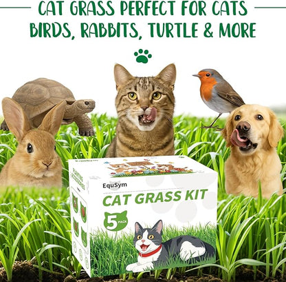 5Pack Cat Grass Seeds Kit - Cat Grass Seeds Growing Set for Indoor Cats, Non GMO Wheat Seed, Nutrient Soil & Planting Tools, Quick Germination, Perfect for Beginners