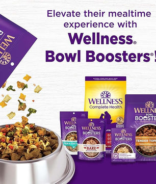 Wellness Complete Health Dry Dog Food, Wholesome Grains, Natural, Chicken & Oatmeal Recipe, (26-Pound Bag)