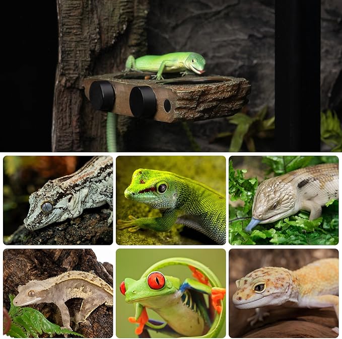 OIIBO Magnetic Reptile Feeder Ledge, Crested Gecko Feeding Ledge with 6PCS Food Cups Reptile Food Dish Water Bowl Tank Accessories for Bearded Dragon Chameleon Lizard Snake