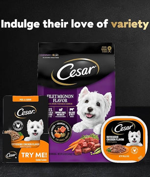 Cesar Filets in Gravy Wet Dog Food Filet Mignon Flavor and Rotisserie Chicken Flavor Variety Pack, 1.76 oz. Mini-Pouches (20 Count, Pack of 2)