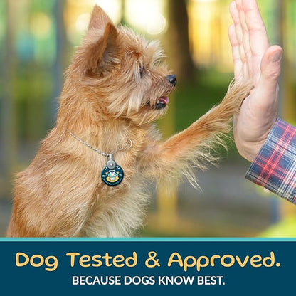 TREATOPIA Adventure Champ Dog Bones, 3-Piece 6” Shank Center Cut Marrow - Long-Lasting Natural Chews for All Dog Sizes, USA Made, Single Ingredient, Hand-Trimmed, Slow-Roasted, No Additives/Fillers