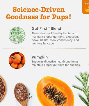 Zesty Paws Puppy Probiotics for Dogs - for Digestive Health, Gut Flora & Immune System Support - Dog Probiotics for Puppies with Bacillus subtilis & Pumpkin - 90 Count