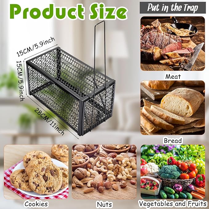Qualirey 2 Pcs Humane Rat Trap Chipmunk Rodent Mouse Squirrel Trap 11 x 6 x 6 Inches Live Animal Mouse Voles Hamsters Live Cage Rat Cage for Mice Easy to Catch and Release, Black
