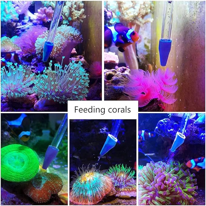 Coral Reef Grabber,Coral Feeder,Aquarium Veggie Feeder,Fish Tank Food Clip,Fish net(Reef Grabber and Coral Feeder Kits (Anti-Rust)