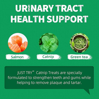 Just Try 13.4 OZ Crunchy Cat Treats Catnip Treats for Cats with Digestive Support, Natural Ingredients Kitten Treats with Real Salmon, Healthy Feline Snacks Training Biscuits Dental Care