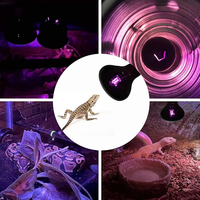 WUHOSTAM 2 Pack 75W Reptile UVA Infrared Moonlight Night Heat Lamp,Basking Spot Bulb Black Glass Cover for Lizard, Chameleon, Snake, Aquarium Reptile, Amphibian